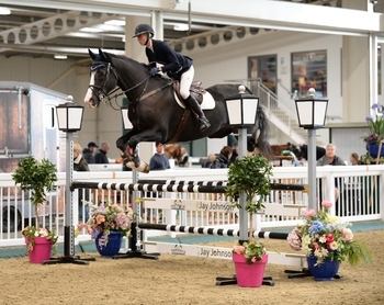 Chloe Reynolds claims top spot in SEIB Winter Novice Qualifier at Aintree Equestrian Centre